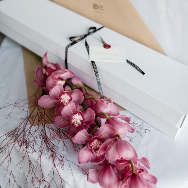 Cymbidium orchid in a box by Lela Design 0