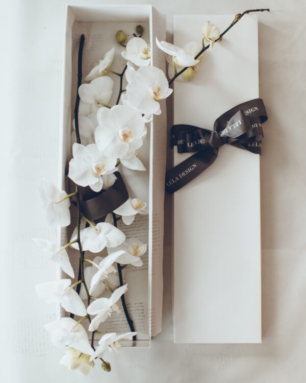 Phalenopsis orchids in a box by Lela Design 0