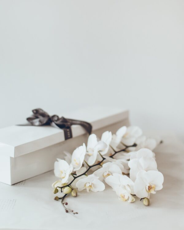 Phalenopsis orchids in a box by Lela Design 2