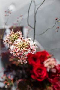 Crveno cvijece u vazi by Lela Design 4